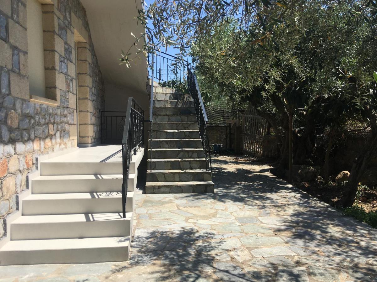 Το Πετρινο / The Petrino Apartments Stoúpa エクステリア 写真