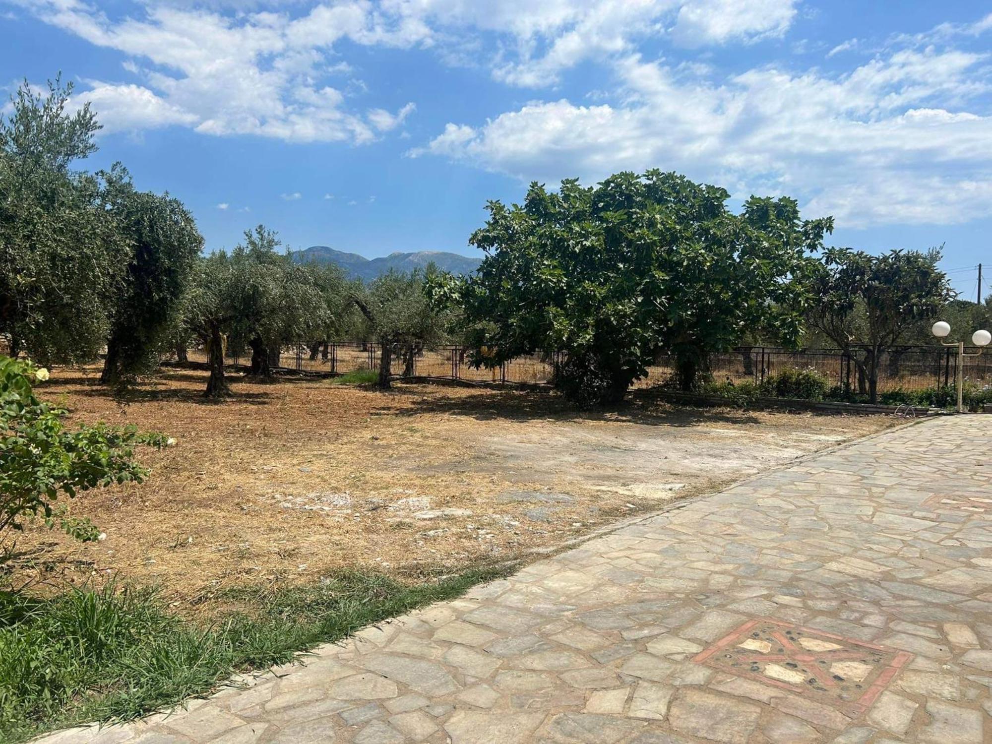 Το Πετρινο / The Petrino Apartments Stoúpa エクステリア 写真